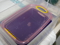 強酸性水で洗浄